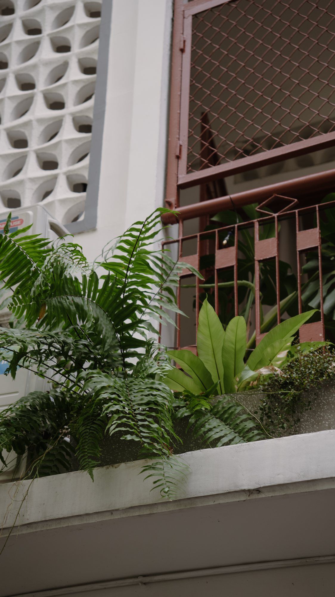 Ban công nhiều cây ở Phan Đăng Lưu
